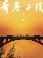 aa级片